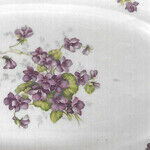 Porcelain Dinnerware Decorated With Violets