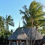 Warmer Climes