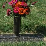Help With Grieving
