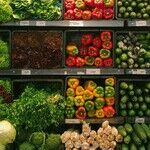 Food Insecurity