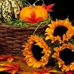 Have a Homemade Halloween Every Day