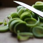 Cellophane Noodles Are an Easy Sell
