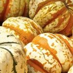 Apply Comfort Food Philosophy to Fall Appetizers
