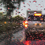 El Nino Repellents and Other Do-It-Yourself Car Care Products