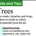 Lichens, Algae and Fungus Gnats