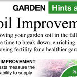 Fall Flower Bed Care
