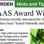 2026 All-America Selections Winners