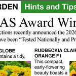 All-America Selections Flower Winners