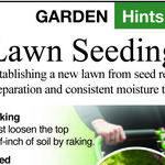 Lawns, Part 2: Installation