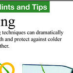 Proper Lawn Mowing Height