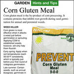 Does Corn Gluten Meal Prevent Weed Seeds?