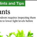 The Best Time To Move Your Plants Indoors for the Winter