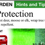 Stopping Deer Damage