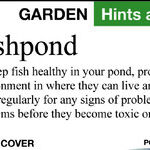 Fishpond