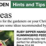 Making the Most of Your Garden