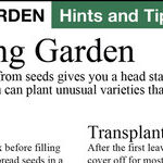 Planning a Vegetable Garden