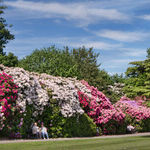 Spring Garden Do's and Don'ts
