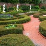 Topiary Designs