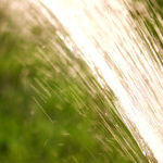 Watering in a Drought
