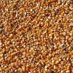 Genetically Modified Plants and Seeds