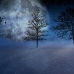 Winter Weather