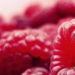 Raspberry Plants