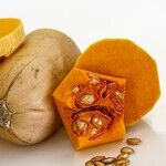 Squash Care