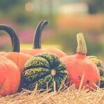 Pumpkins