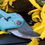 Holiday Gifts for Gardeners