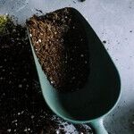 Protecting Landscape and Too Much Fertilizer