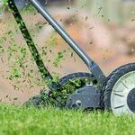 New Year's Gardening Resolutions