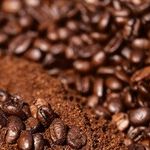 Coffee Grounds