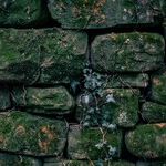 Retaining Walls