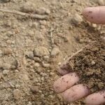 Fertilizer Numbers