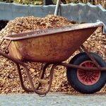 Tree Mulch