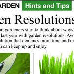 Gardening New Year's Resolutions