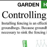 Groundhog Day
