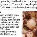 Dormant Mail Order Plants and Bulbs