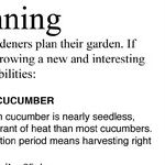 Try New Vegetables and Popcorn