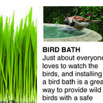 Earth Day Tips
