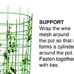 Top Fruit to Grow on a Trellis