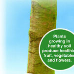 Should We Water Our Plants in a Drought?