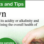 Gypsum