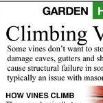 Compost, Lilacs and Vines