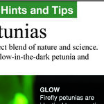 A Real Avatar Glowing Plant?