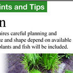 Water Garden Design Considerations