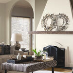 Fireplace Accent Color