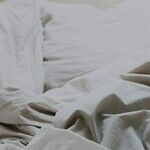 Lifestyle Questions From the Survey (Part 3)