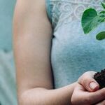 Connectedness: Putting Down Roots