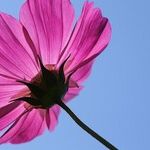 Core Questions (Part 3)